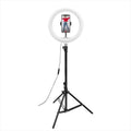 Ring Led con Treppiedi Celly